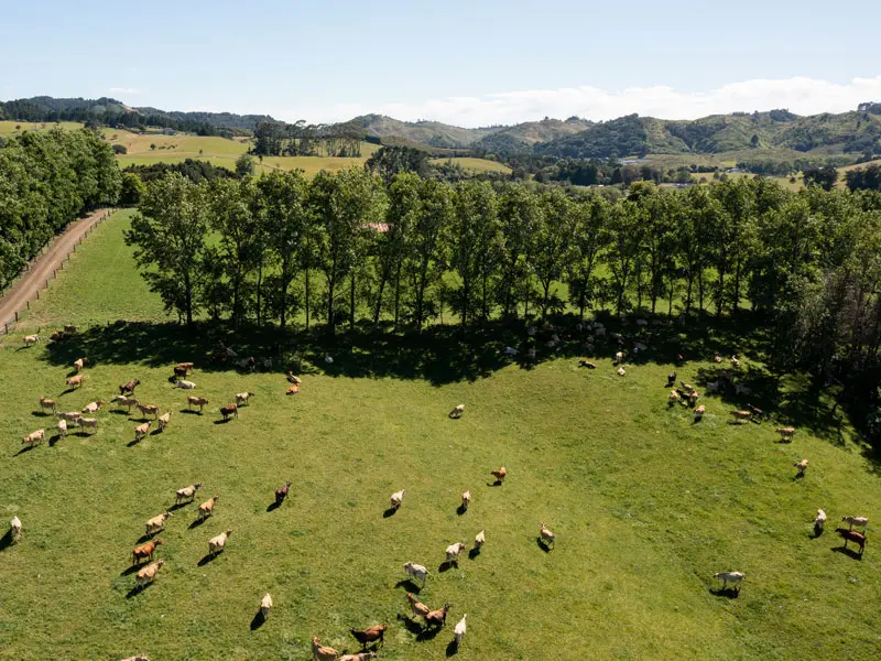 donalds farm